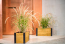 Mezza 12X24 Planter - 2 Pack Planter Vita 
