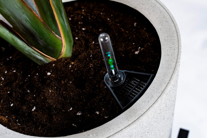 Växa 11” Self-Watering Planter