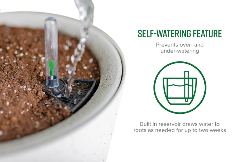 Växa 14” Self-Watering Planter Planter Vita 